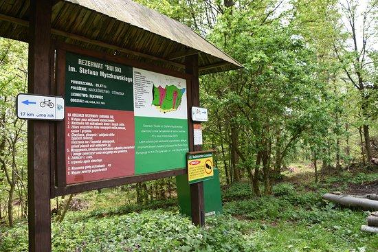 Rezerwat przyrody Hulskie im. Stefana Myczkowskiego